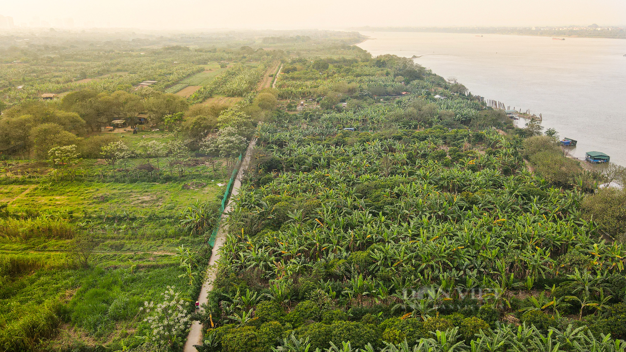 Cận cảnh bãi giữa sông Hồng ở Hà Nội được đề xuất cải tạo làm công viên - Ảnh 10.