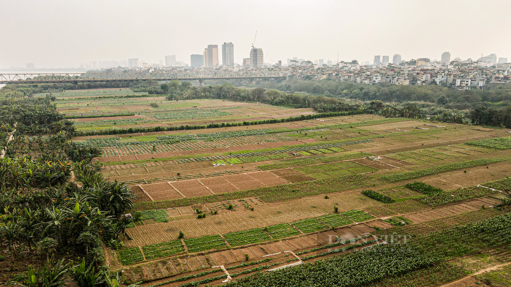 Cận cảnh bãi giữa sông Hồng ở Hà Nội được đề xuất cải tạo làm công viên - Ảnh 2.