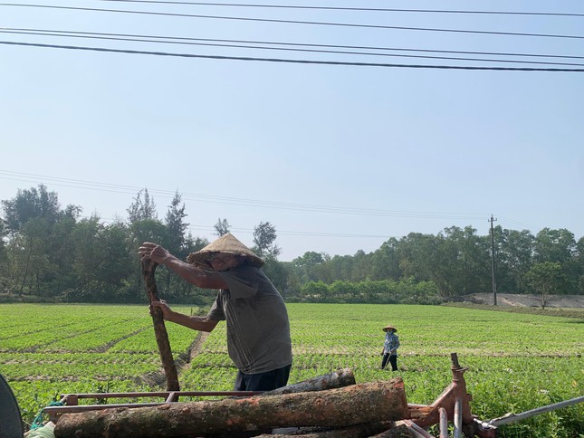 Đất nông thôn sốt sình sịch khi dự án đang 'trên giấy' - Ảnh 4.