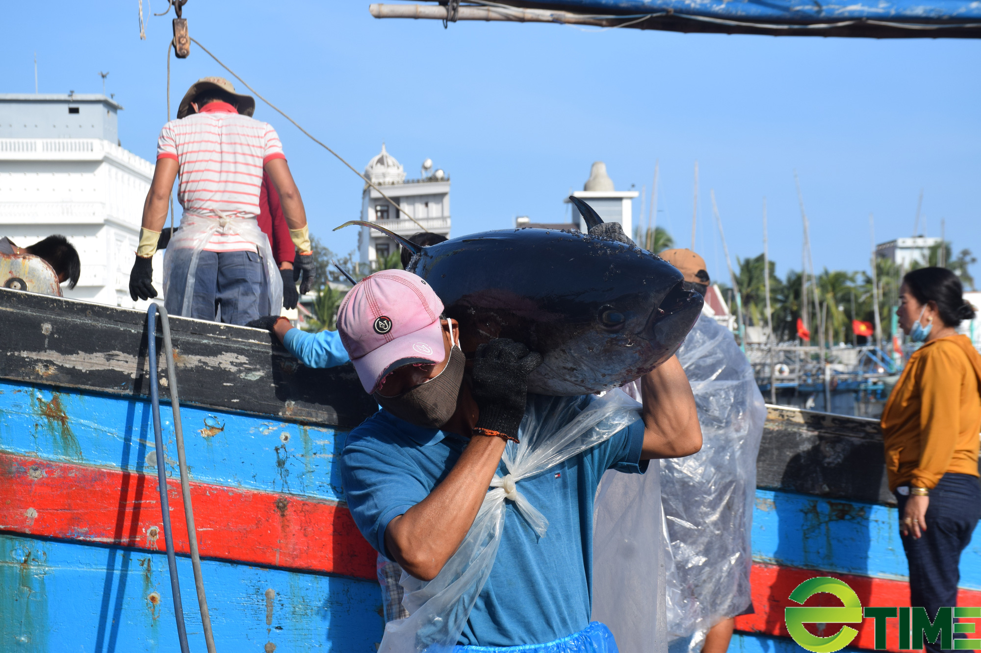 Ngư dân Bình Định “gặp khó”… vì giá nhiên liệu tăng - Ảnh 3.