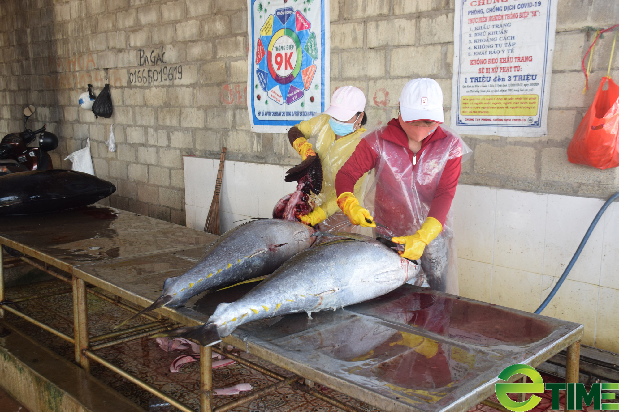 Ngư dân Bình Định “gặp khó”… vì giá nhiên liệu tăng - Ảnh 2.