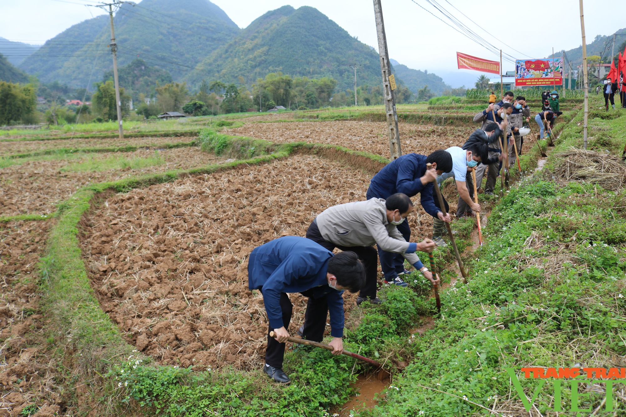 Nông thôn Tây Bắc: Thuận Châu tập trung chăm sóc lúa vụ xuân - Ảnh 4.