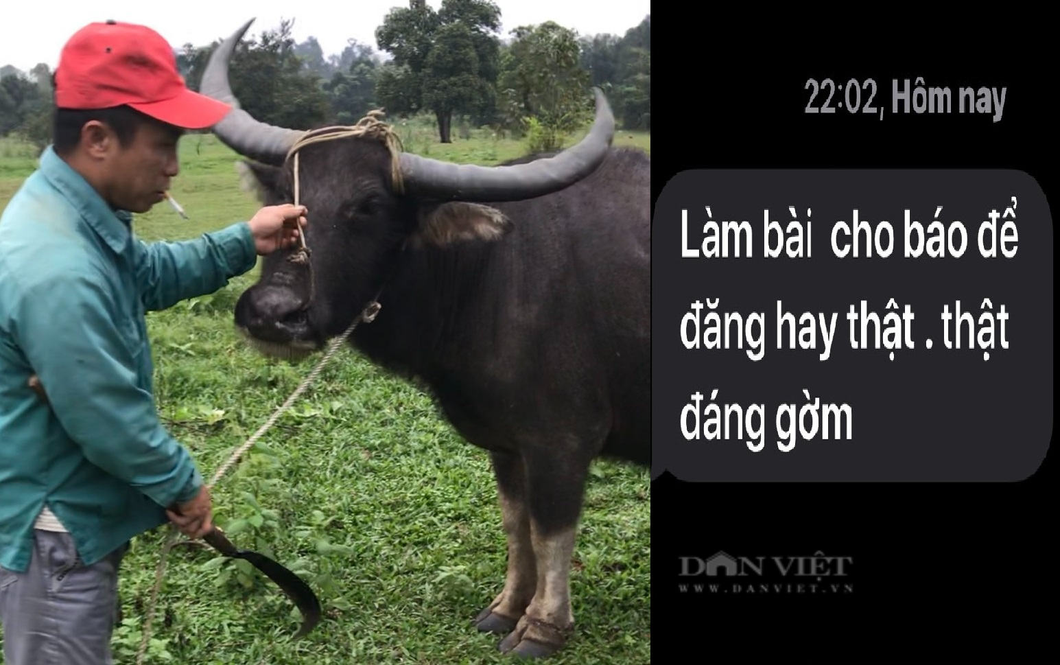 Chủ tịch UBND tỉnh Hà Tĩnh Võ Trọng Hải chỉ đạo xử lý nghiêm vụ trâu nhà dính bẫy thú trong khu bảo tồn - Ảnh 2.