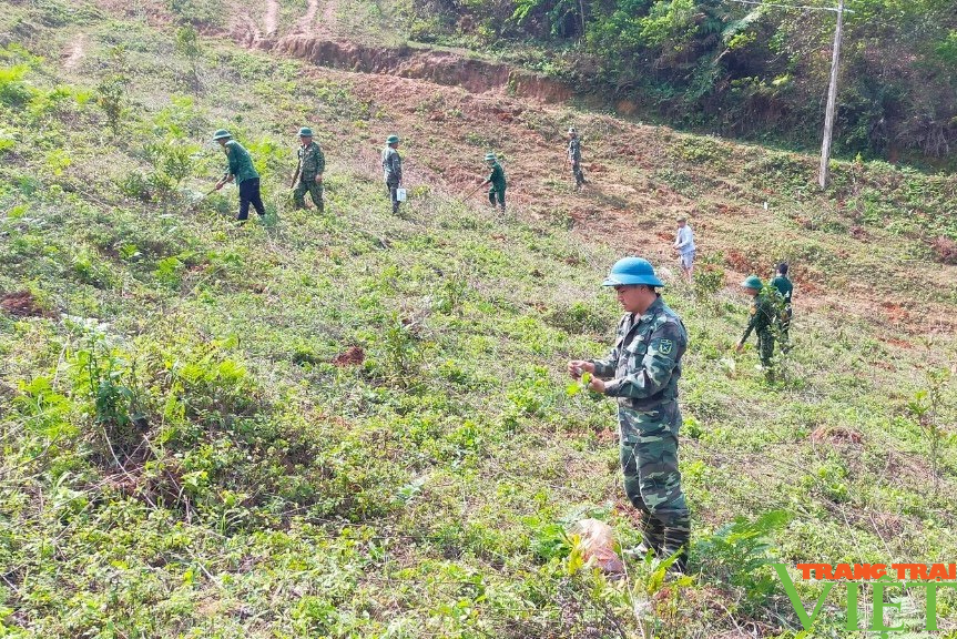 Bộ đội Biên phòng Sơn La hưởng ứng Đề án trồng một tỷ cây xanh - Ảnh 5.