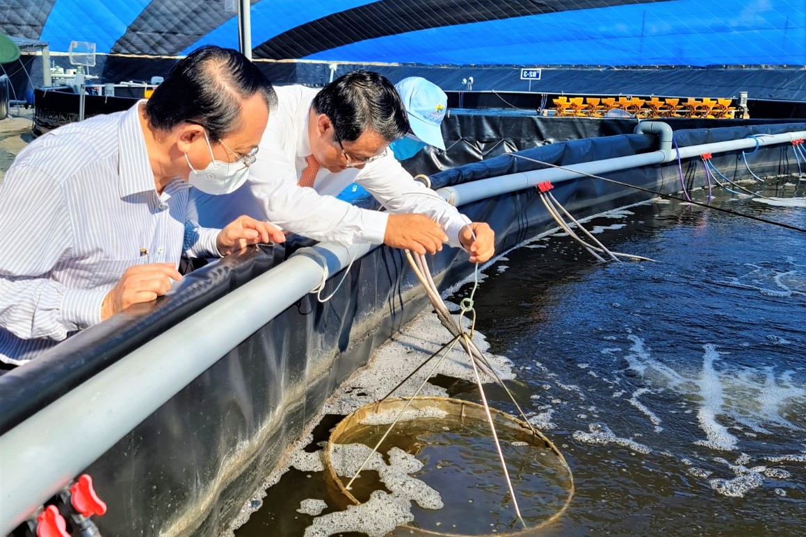 Bạc Liêu: Nông dân làm giàu nhờ nuôi tôm công nghệ cao theo hướng bền vững - Ảnh 2.