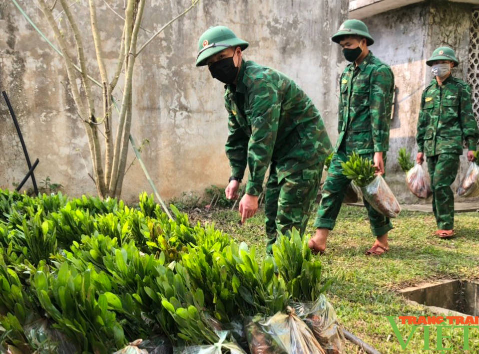 Bộ đội Biên phòng Sơn La hưởng ứng Đề án trồng một tỷ cây xanh - Ảnh 1.
