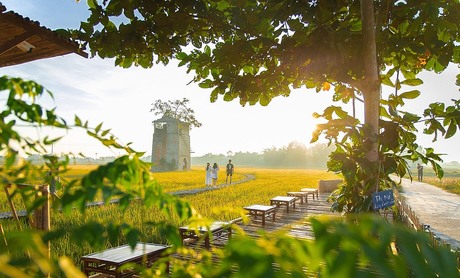 Quảng Nam: Biến ý tưởng “điền rồ” thành điểm check - in lý tưởng của lớp trẻ - Ảnh 10.