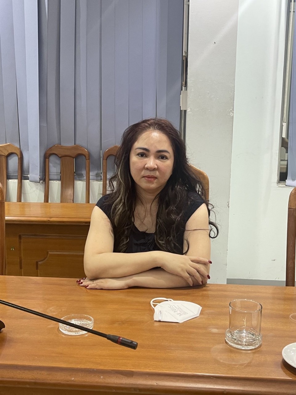 Cập nhật: Khởi tố, bắt tạm giam bà Nguyễn Phương Hằng - Ảnh 1.