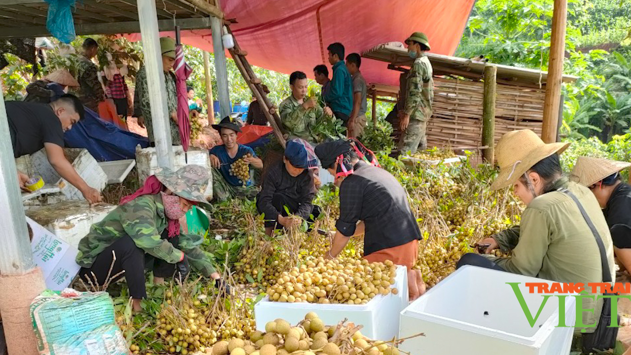 Nông thôn Tây Bắc: Đồng bào dân tộc thiểu số thay đổi nếp nghĩ, cách làm - Ảnh 6.