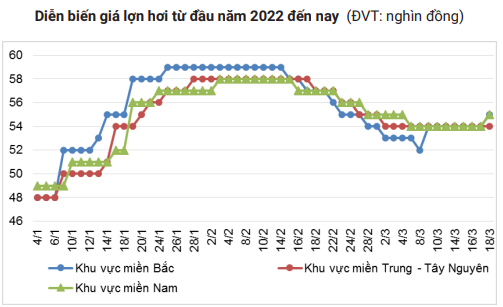 Dịch tả lợn châu Phi đe dọa sản xuất thịt lợn năm 2022 - Ảnh 3.