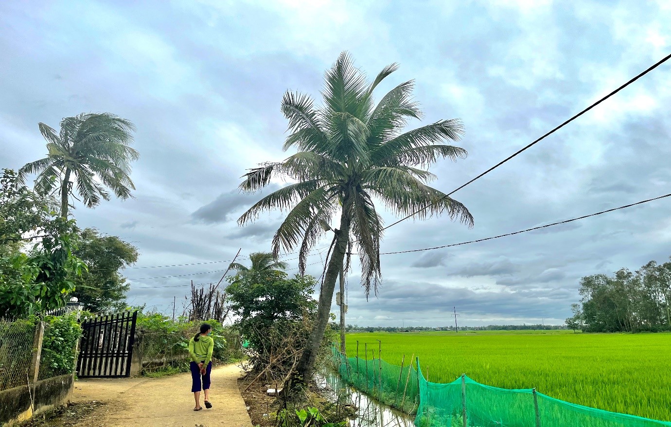 Kể chuyện làng: Bức tranh màu xanh trong miền nhớ - Ảnh 1.