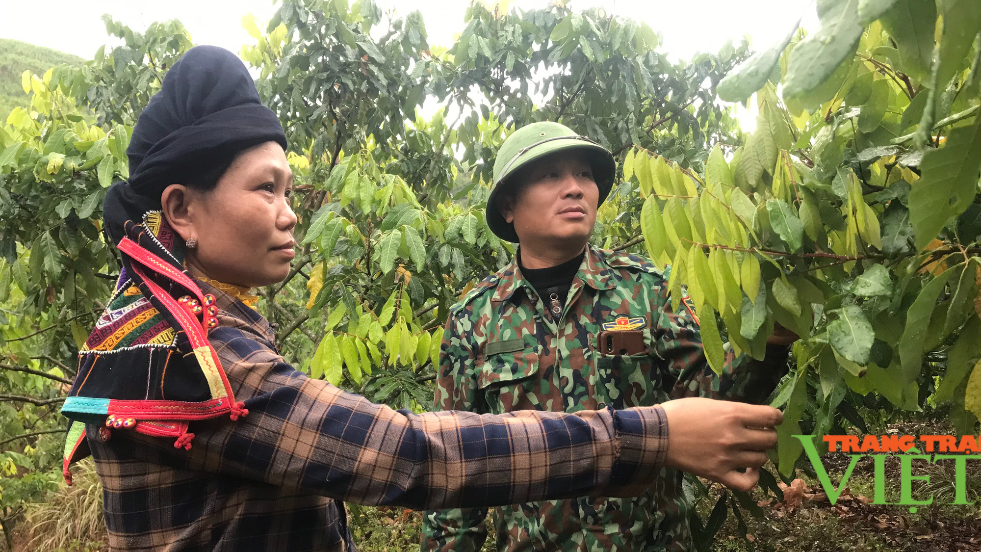 Nông thôn Tây Bắc: Đồng bào dân tộc thiểu số thay đổi nếp nghĩ, cách làm - Ảnh 2.