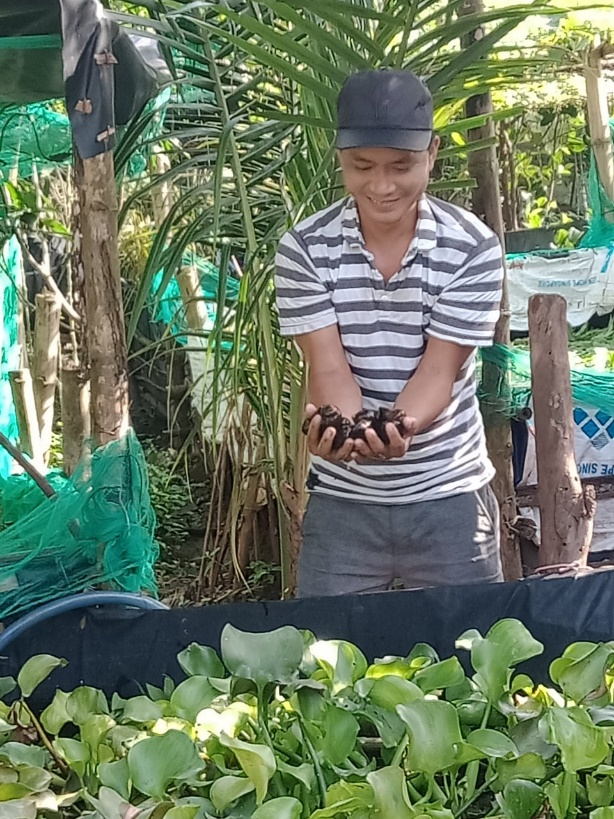 Trai làng bỏ Sài Gòn về quê Phú Yên đào ao nuôi cá Nhật Bản, làm bể nuôi ốc đặc sản mà khá giả lên - Ảnh 1.