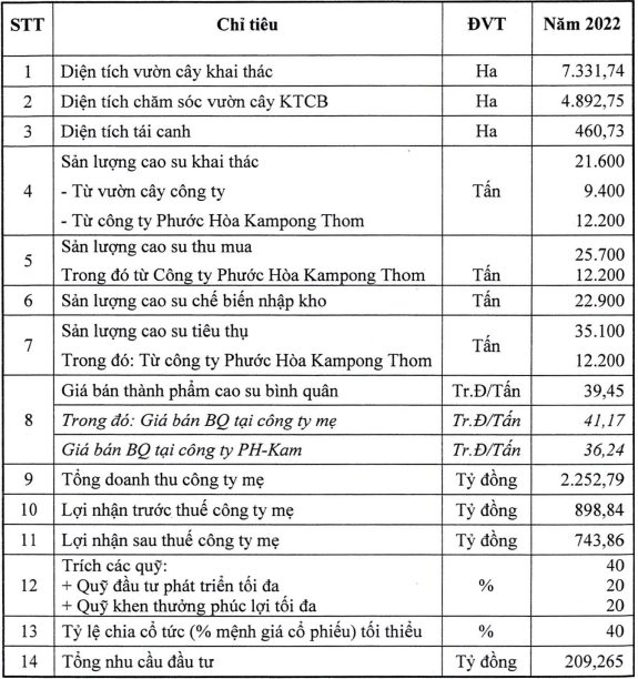 Sau năm giảm mạnh, Cao su Phước Hòa đặt kế hoạch lãi riêng lẻ tăng 125% - Ảnh 1.