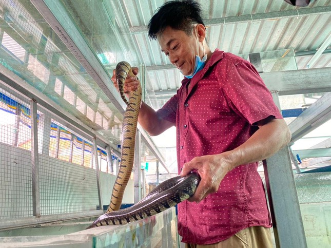 Cho rắn ở nhà lầu, anh nông dân ở miền Tây thu trăm triệu mỗi năm - Ảnh 1.