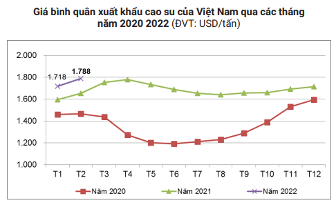 Một &quot;chấm đỏ&quot; xuất hiện, giá cao su sẽ ra sao tới đây? - Ảnh 4.