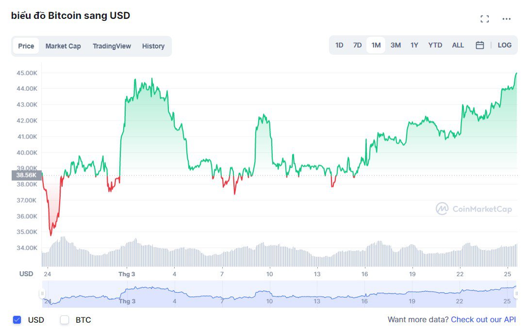 Giá Bitcoin chạm mức cao nhất tháng 3 - Ảnh 1.