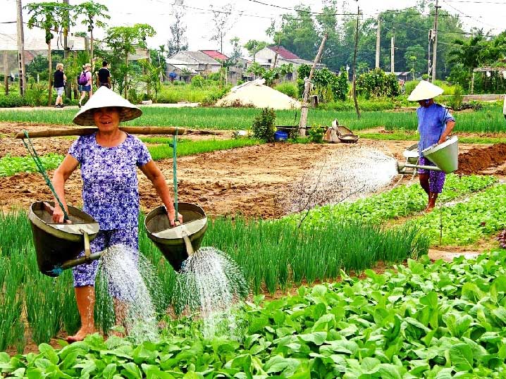 Quảng Nam: Địa phương đầu tiên ban hành Bộ tiêu chí Du lịch xanh - Ảnh 6.