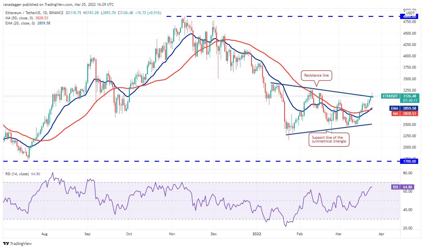 Giá Bitcoin hôm nay 26/3: Bitcoin tăng lên hơn 44.000 USD, thị trường dè dặt - Ảnh 2.