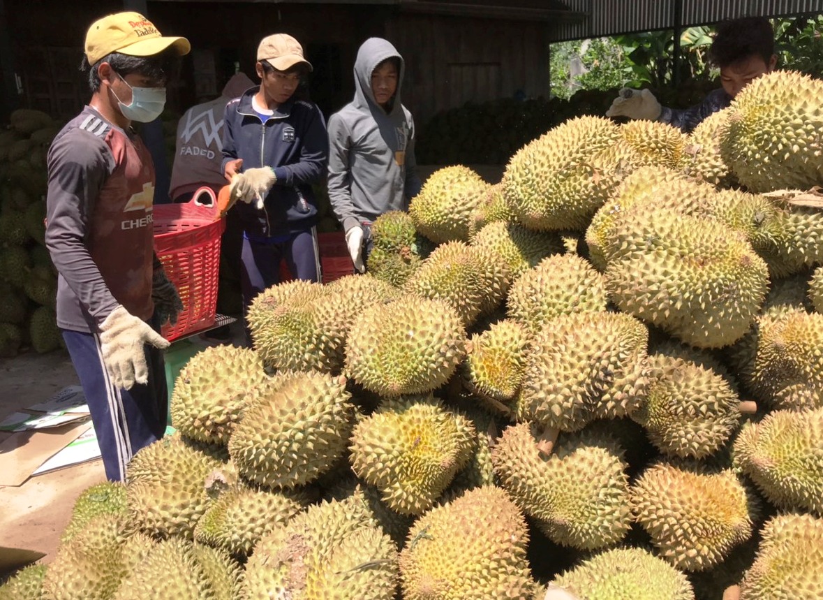 Khánh Hòa: Gần 1,2 tỷ đồng cho chương trình xúc tiến thương mại - Ảnh 1.