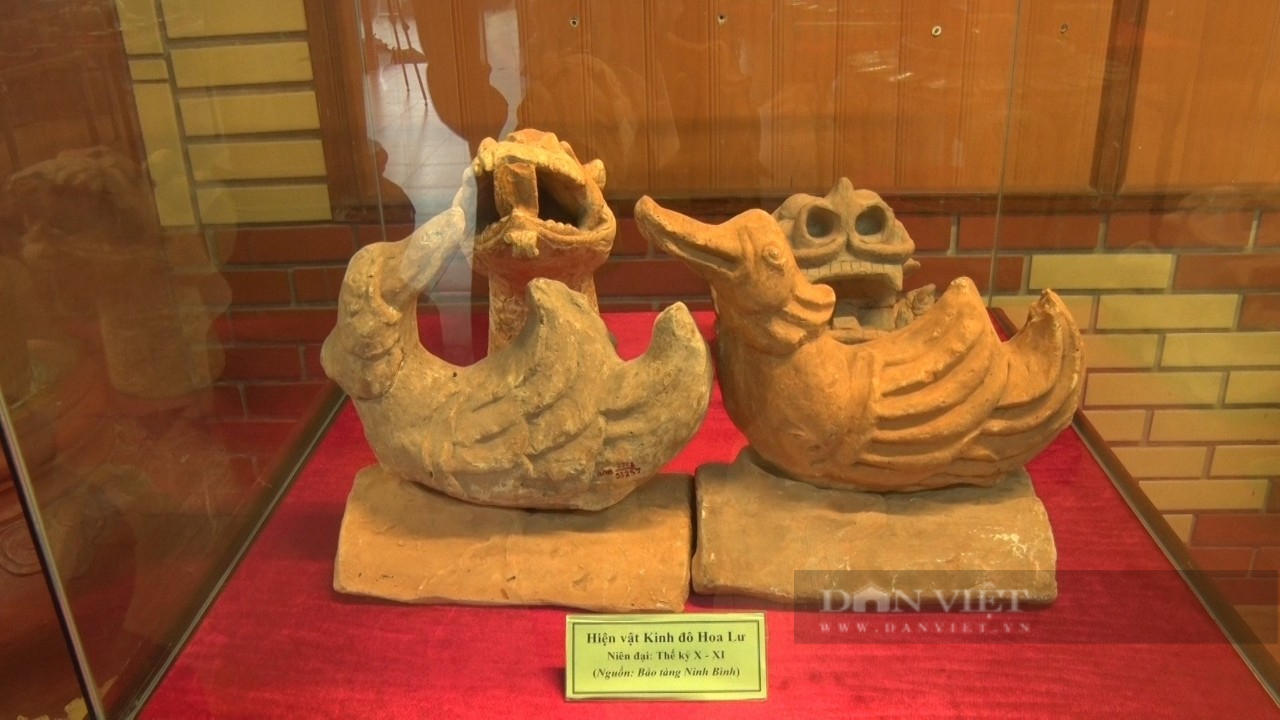 Trưng bày nhiều cổ vật quý hiếm ở Ninh Bình - Ảnh 8.