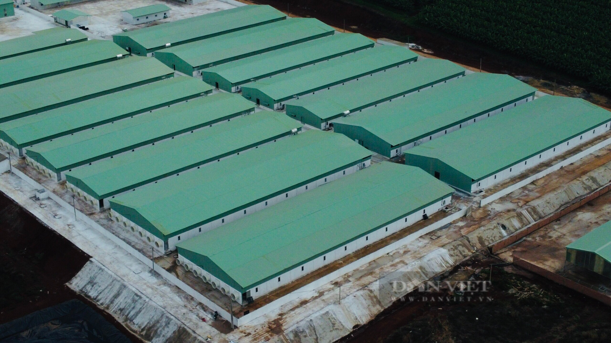 Bất chấp quy định, Công ty Cổ phần gia súc Lơ Pang xây dựng trại heo trái phép gần 100 tỷ đồng - Ảnh 2.