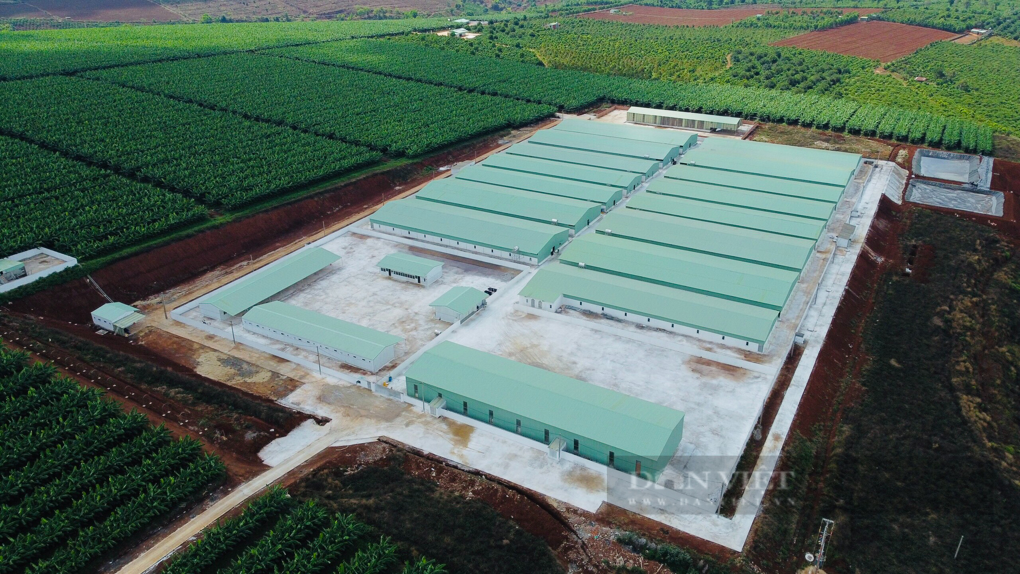 Bất chấp quy định, Công ty Cổ phần gia súc Lơ Pang xây dựng trại heo trái phép gần 100 tỷ đồng - Ảnh 1.