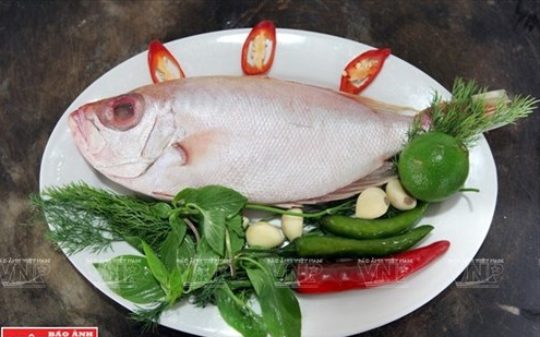 Loài cá thân dẹp, miệng rộng, thịt ngọt đem nướng lên thành món khoái khẩu của nhiều người khi đến Đà Nẵng