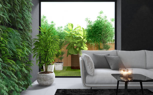 5 loại cây cảnh phòng khách, giảm bụi, chắn tiếng ồn, tăng độ ẩm, càng sống càng khỏe mạnh - Ảnh 6.