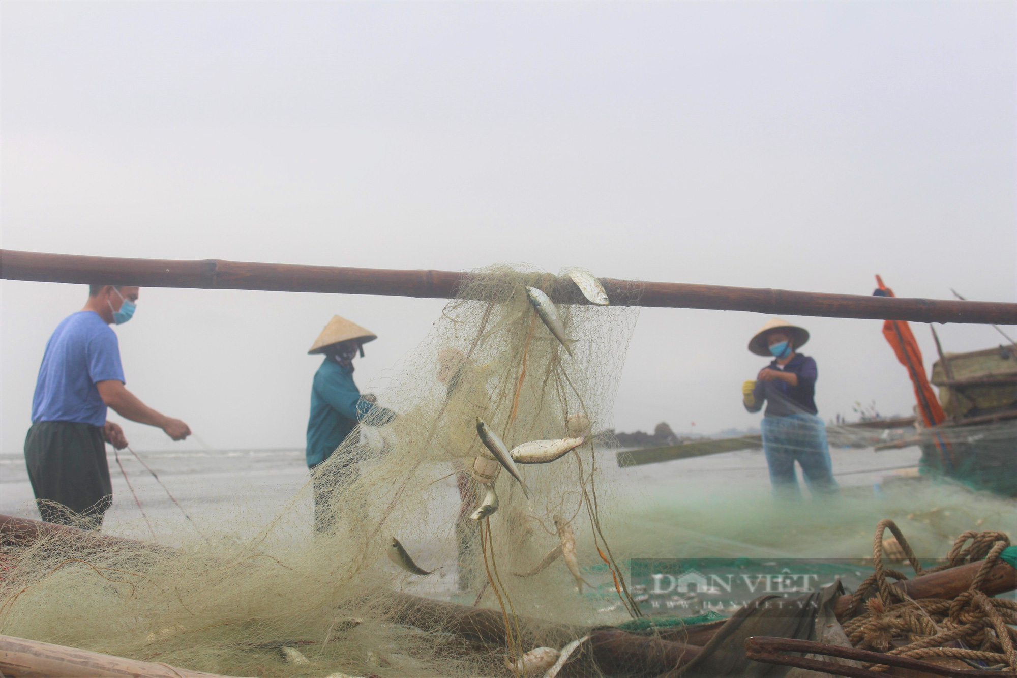 Ngư dân Hà Tĩnh đánh được hàng tấn cá trích mỗi ngày, cá mắc chi chít lưới, gỡ mỏi tay không hết - Ảnh 6.