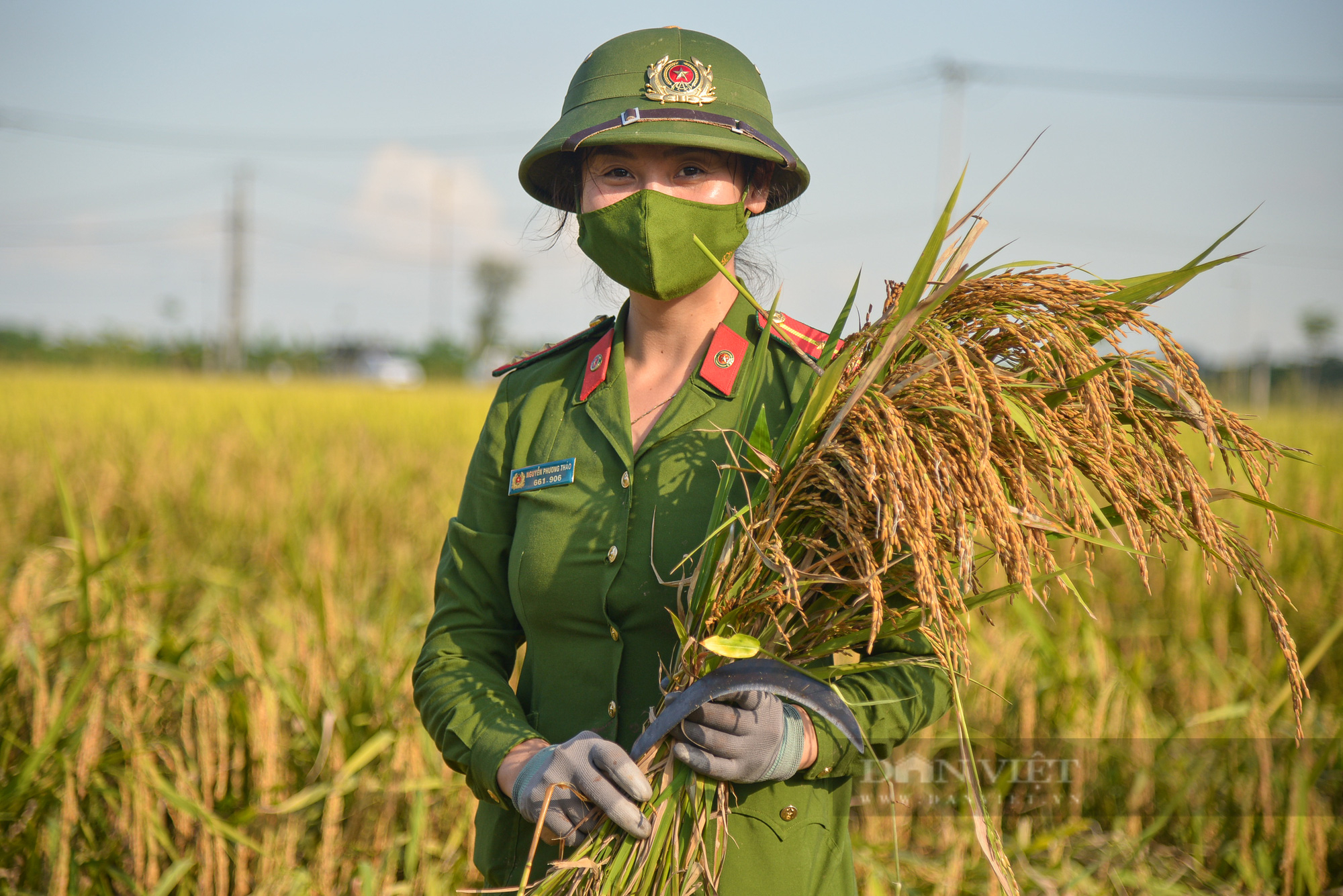 Gặp gỡ bóng hồng  - Ảnh 12.