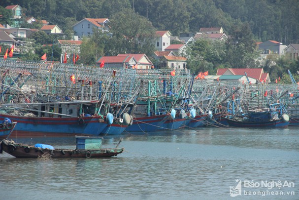 Nghệ An: Mua tàu cá giá 2 tỷ đồng, ngư dân đau xót bán tháo với giá 800 triệu vì không cầm cự nổi - Ảnh 1.