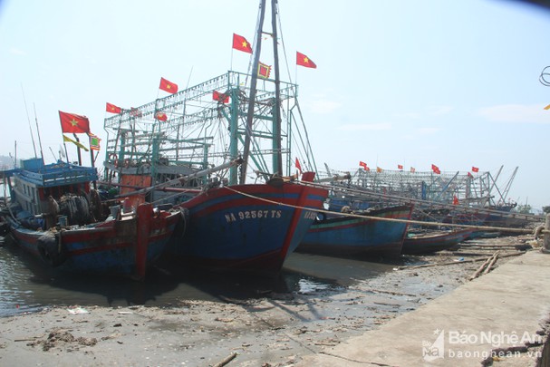 Nghệ An: Mua tàu cá giá 2 tỷ đồng, ngư dân đau xót bán tháo với giá 800 triệu vì không cầm cự nổi - Ảnh 2.