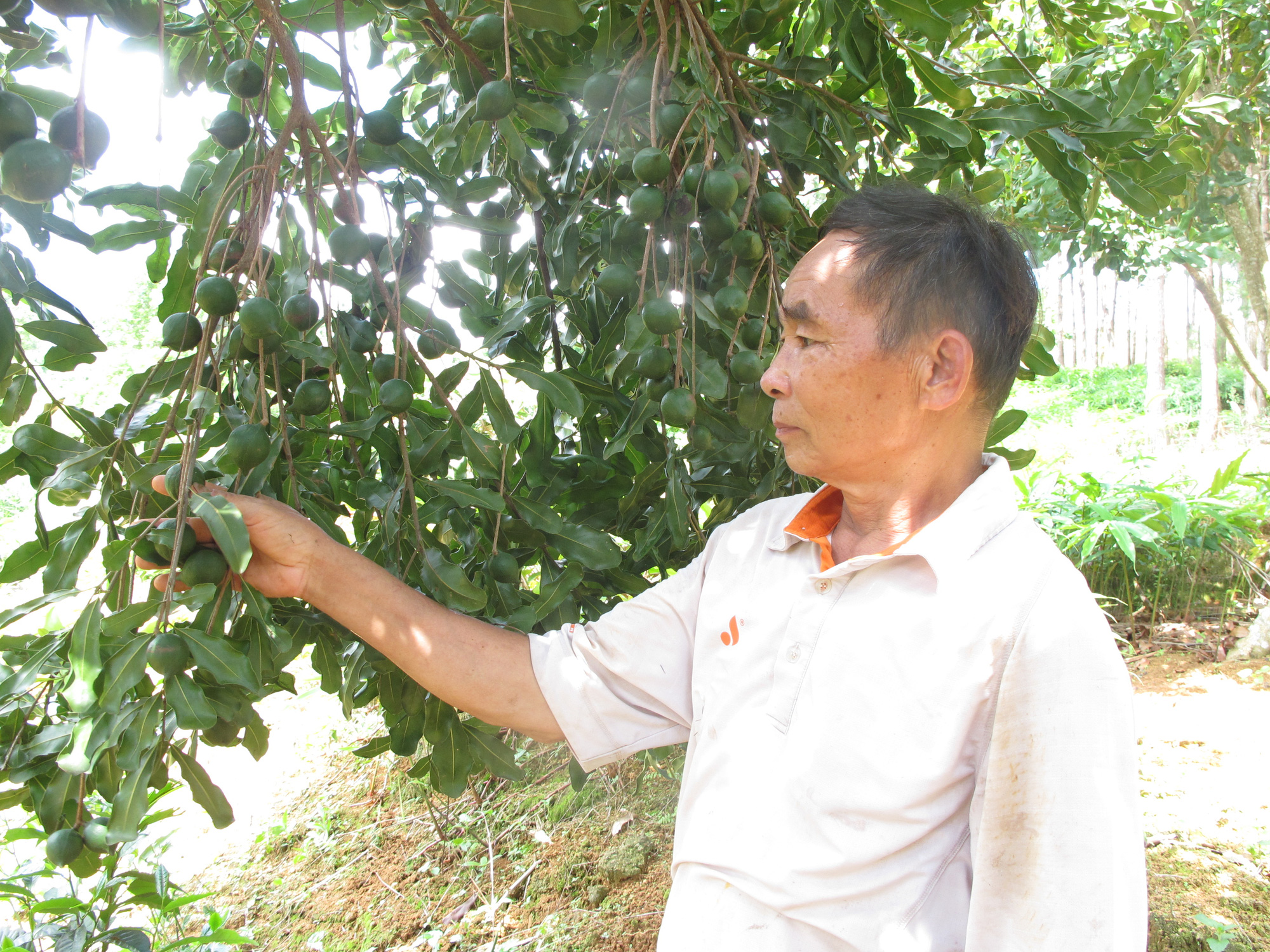 Việt Nam đã bán được bao nhiêu tiền loại hạt được mệnh danh là nữ hoàng? - Ảnh 1.