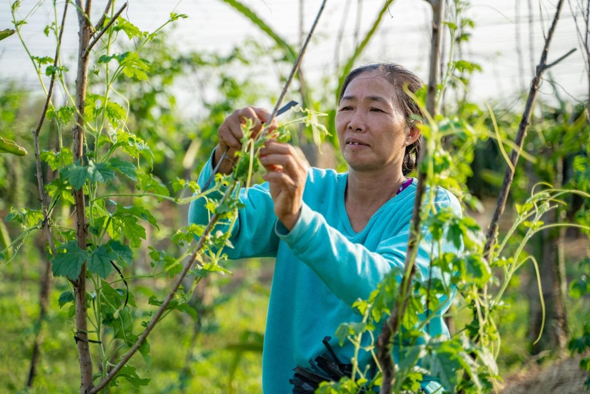 “Tiếp sức nhà nông” cùng phụ nữ nuôi ước mơ làm kinh tế - Ảnh 4.