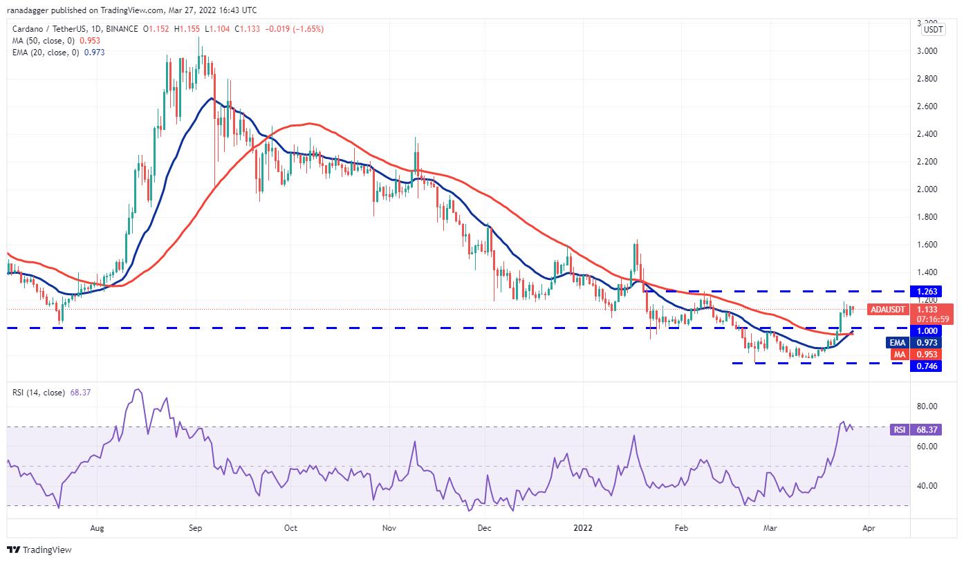 5 đồng coin hàng đầu nên xem trong tuần này - Ảnh 4.