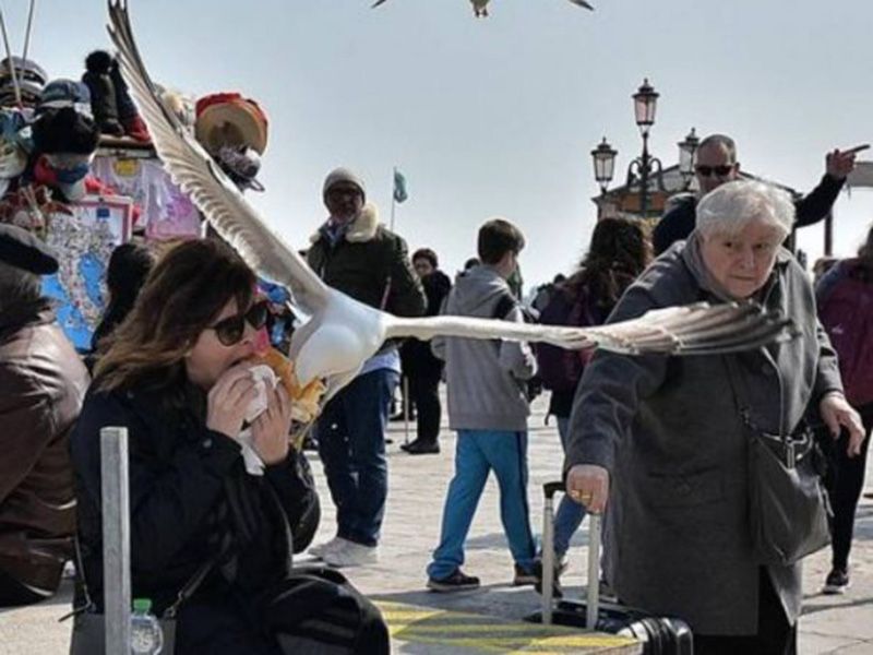 Italia: Khách du lịch tới Venice có thể trải nghiệm “vũ khí chống cướp biển có cánh” - Ảnh 3.