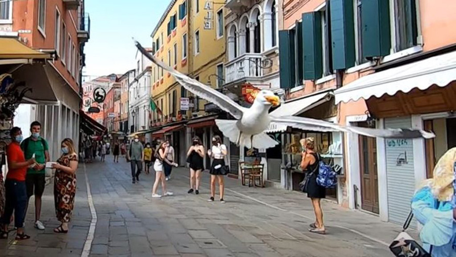 Italia: Khách du lịch tới Venice có thể trải nghiệm “vũ khí chống cướp biển có cánh” - Ảnh 4.