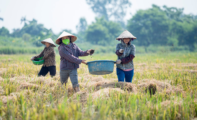 Con đường vòng để nông sản Việt đạt chuẩn quốc tế - Ảnh 1.