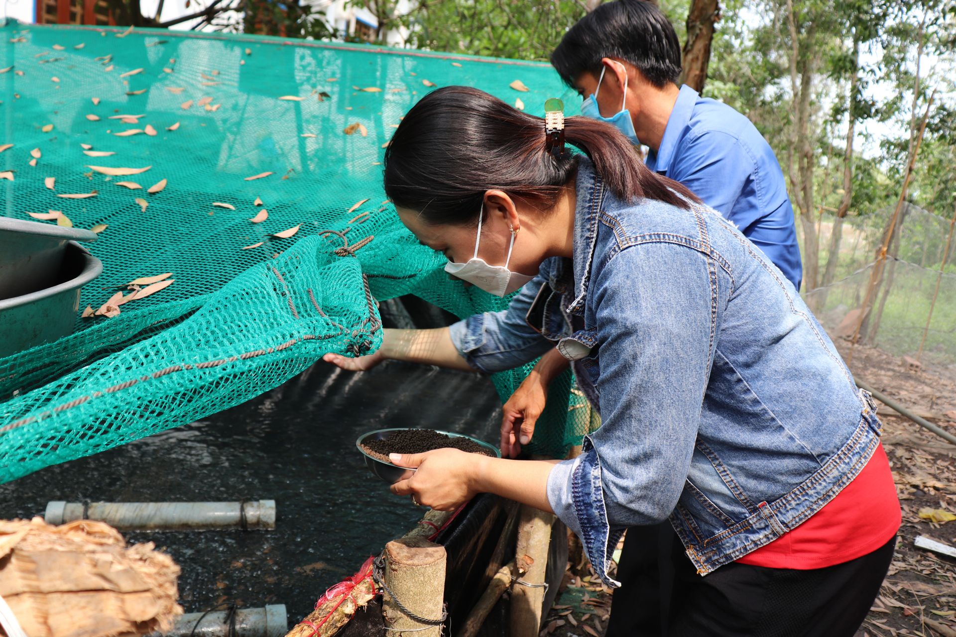 Tây Ninh: Làm bể xi măng lót bạt nuôi loài cá này dày đặc, tỷ lệ hao hụt thấp, nông dân lãi cao hơn - Ảnh 1.