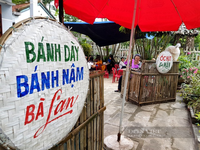 Quảng Nam: Du khách thỏa mái check-in không gian làng quê tại lễ hội hoa sưa Tam Kỳ 2022 - Ảnh 10.