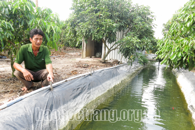 Đào rãnh trong vườn rồi lót bạt không phải để nuôi cá mà nông dân Sóc Trăng đối phó với nguy cơ gì? - Ảnh 1.