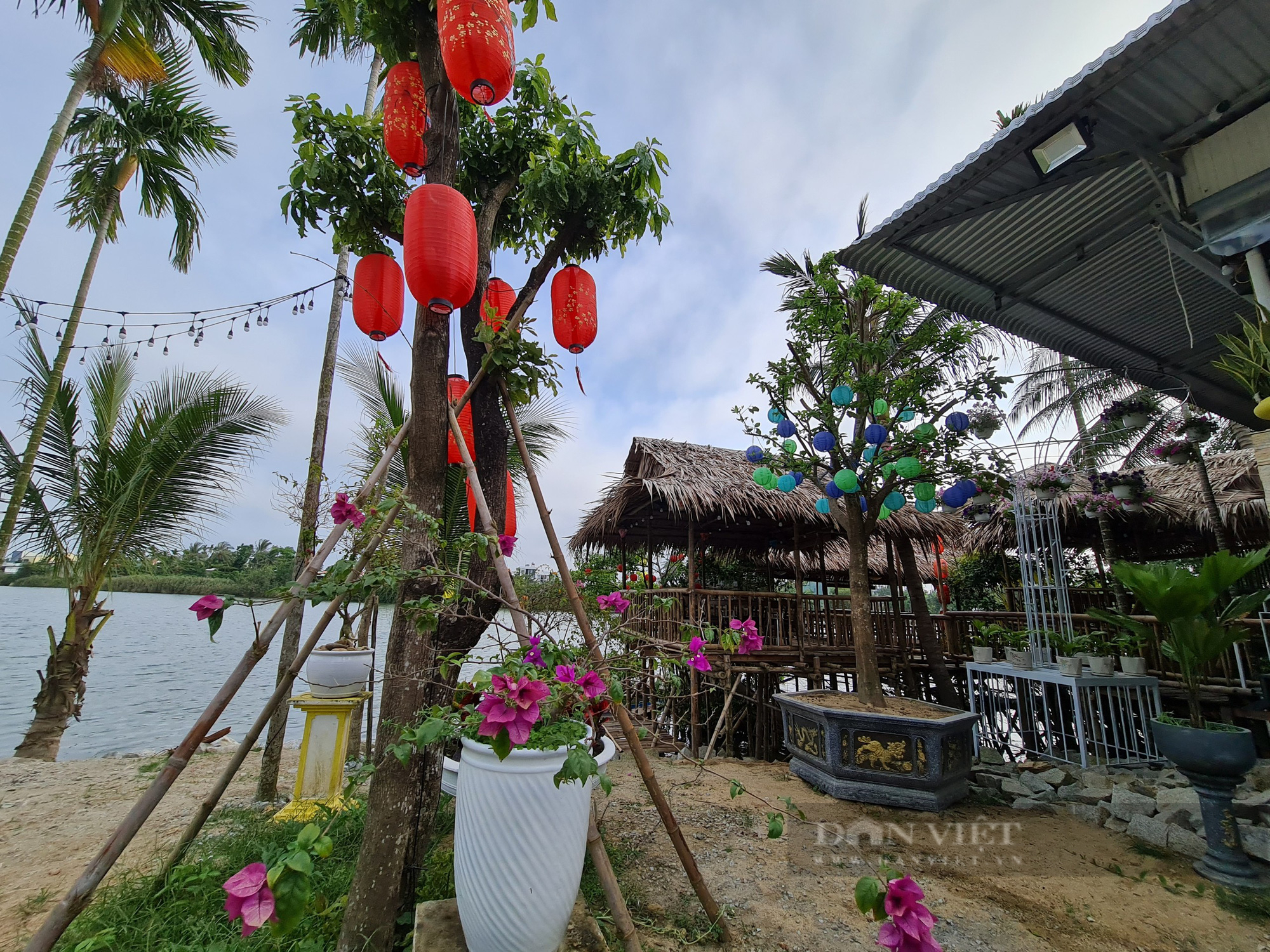 Quảng Nam: Du khách thỏa mái check-in không gian làng quê tại lễ hội hoa sưa Tam Kỳ 2022 - Ảnh 7.