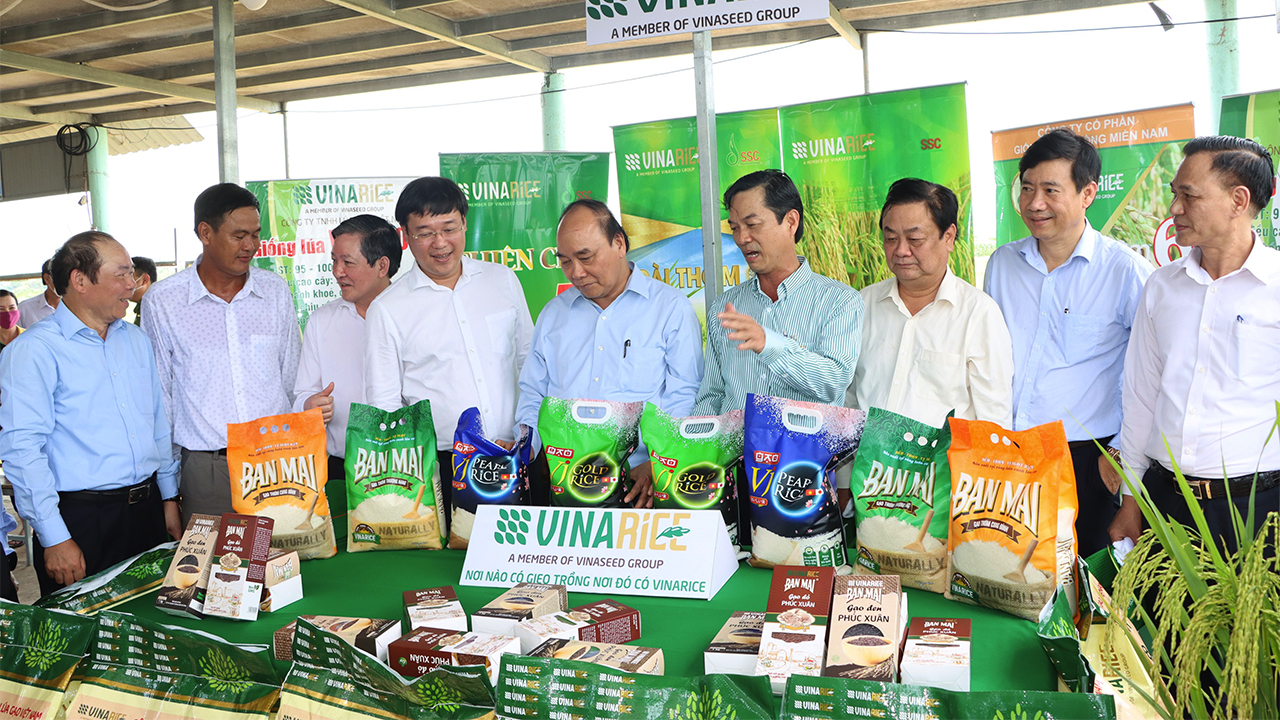 Chủ tịch nước Nguyễn Xuân Phúc: Đồng Tháp phải tiếp tục tập trung khai thác tốt thế mạnh trong nông nghiệp - Ảnh 2.