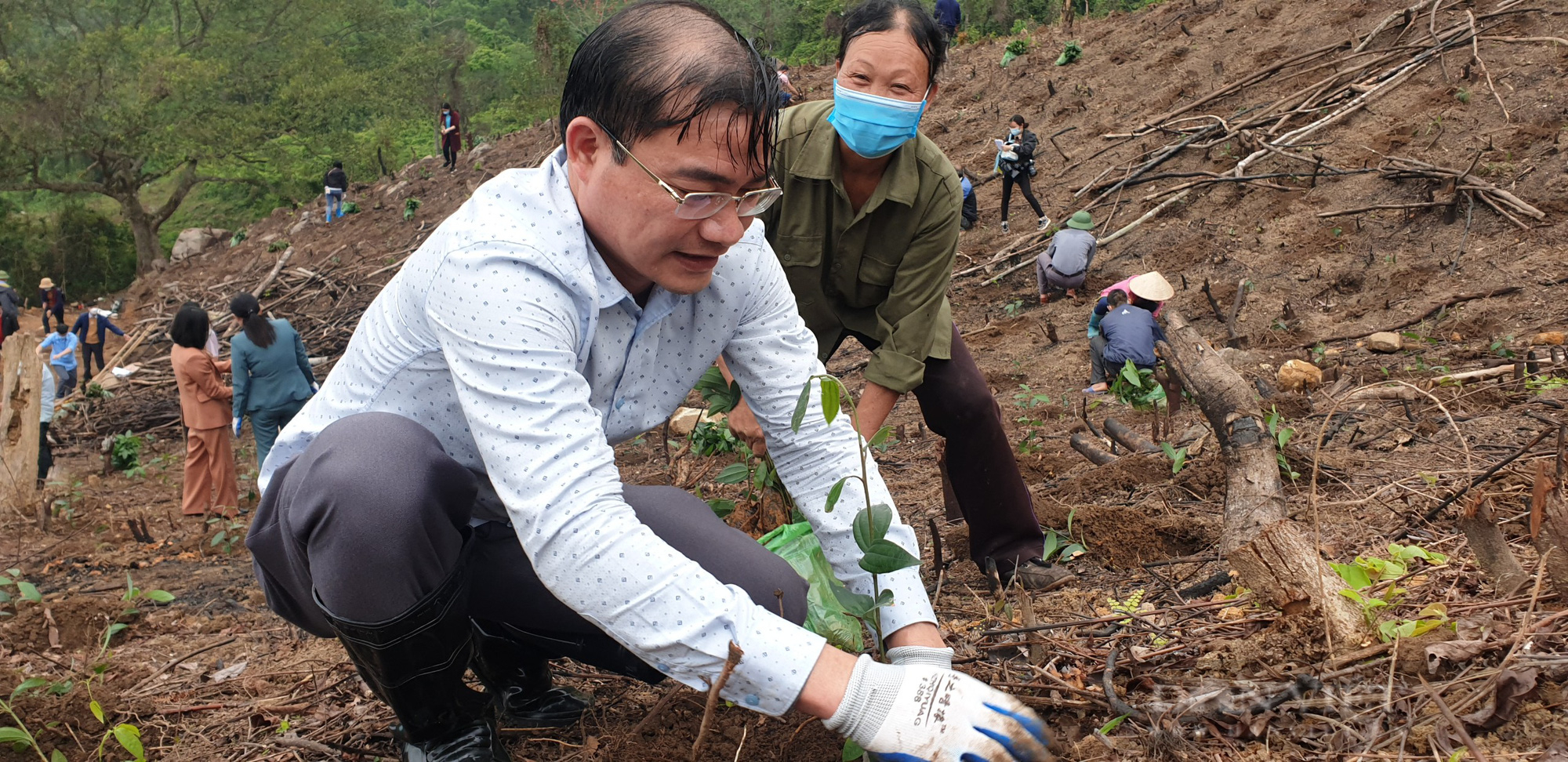 Hội Nông dân Quảng Ninh với quyết tâm phủ kín rừng gỗ lớn - Ảnh 2.