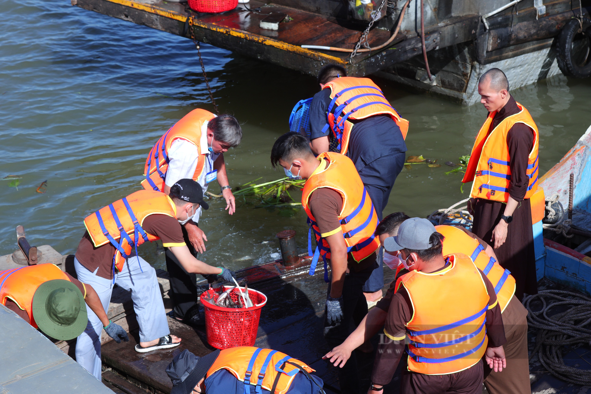 Vĩnh Long: Hơn 30 tấn cá được thả xuống dòng sông tiền - Ảnh 9.