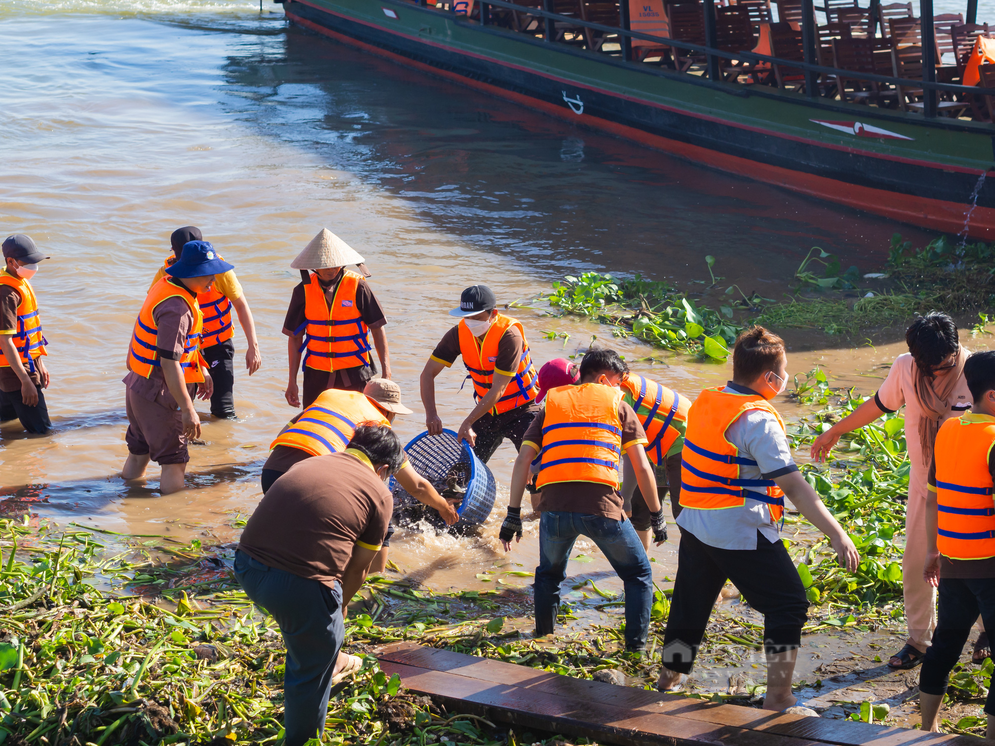 Vĩnh Long: Hơn 30 tấn cá được thả xuống dòng sông tiền - Ảnh 6.