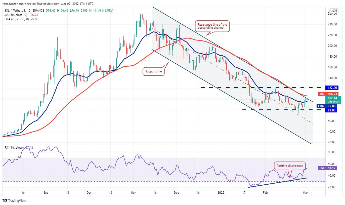 Giá Bitcoin hôm nay 3/3: Bitcoin giảm nhẹ, thị trường giao dịch ổn định - Ảnh 4.