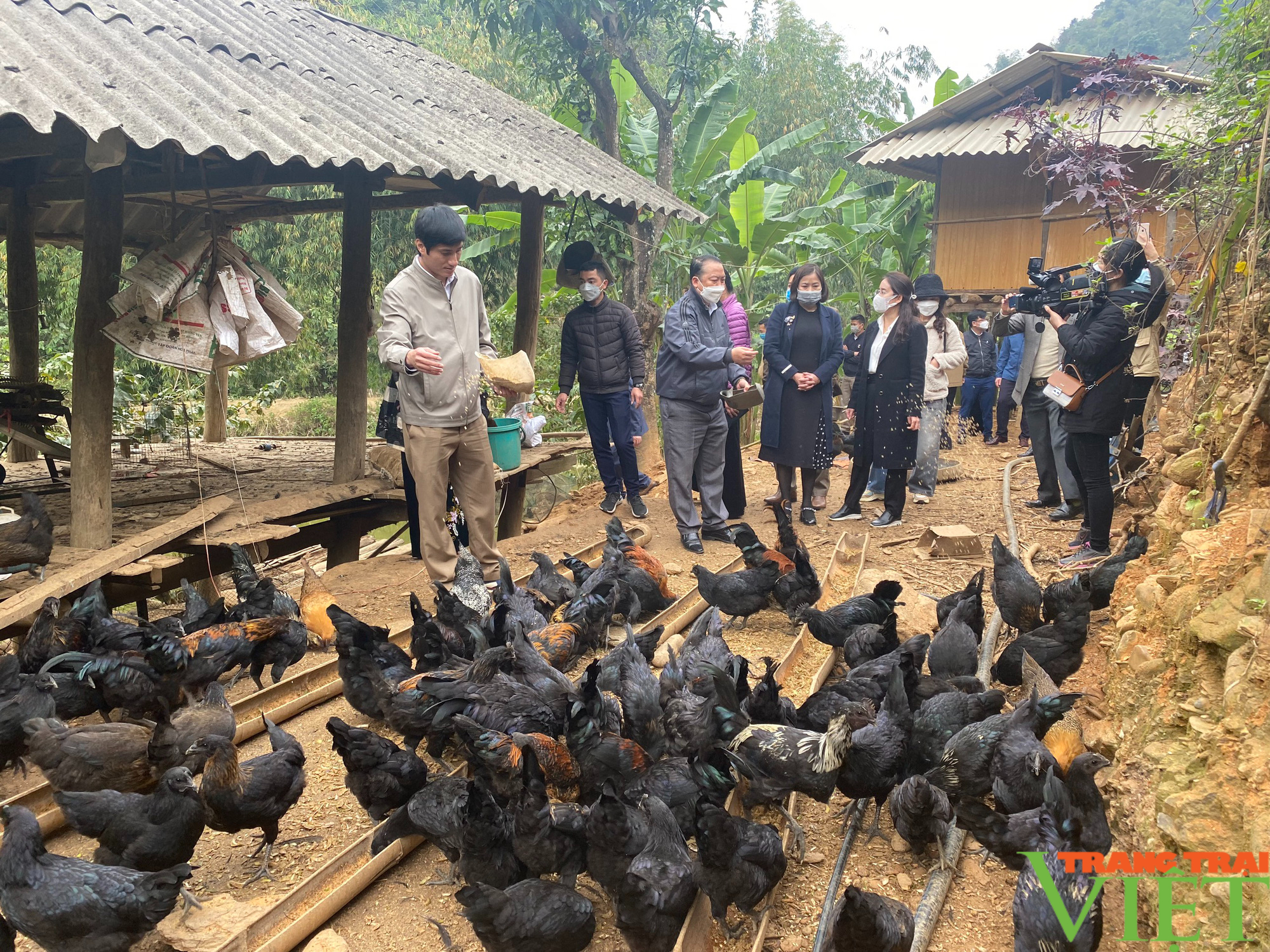 Hiệu quả mô hình nuôi gà đen H'Mông thương phẩm thả vườn, đồi theo hướng an toàn sinh học ở vùng cao Sơn La - Ảnh 1.