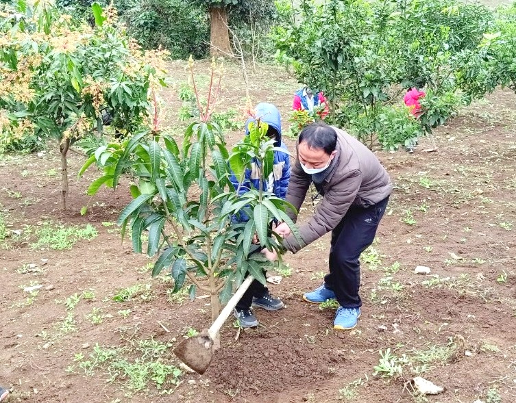 Khu vườn trường thơm ngát hương xoài từ chương trình tặng cây giống của Báo NTNN/Điện tử Dân Việt - Ảnh 5.